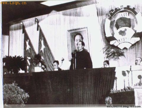 ë����ϯ��Ƭ�� - ���� - «�����Ĳ���