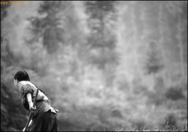 ��ͷ�µ�80���������Ӱ