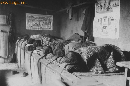 �����ϵ�������ʷȤζ��