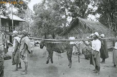 �����ϵ�������ʷȤζ��