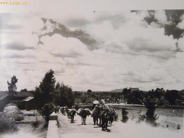 �����ɻ���Ա���������