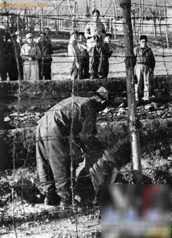 ������ѹ�޼õ�ս������