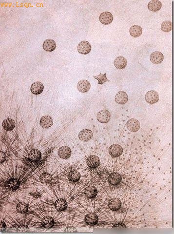 �������Ƶ�ʮ������