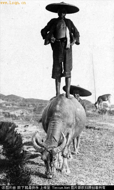 ������Ķ���ʮ�������