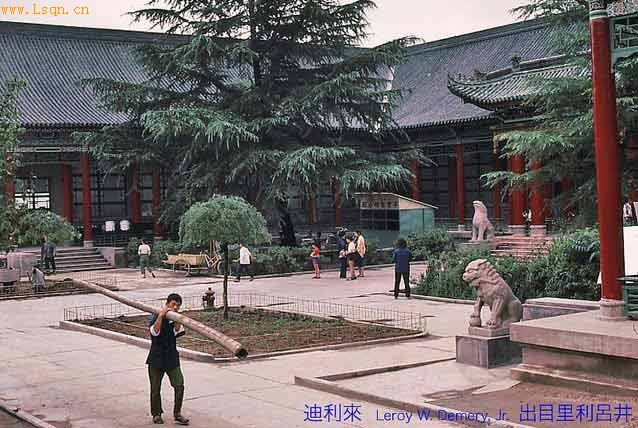 ���⾵ͷ�µ�83������