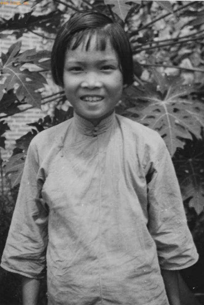 1949���ź�Ĺ�������