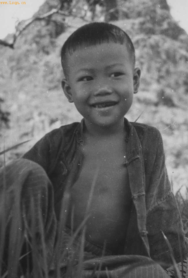 1949���ź�Ĺ�������