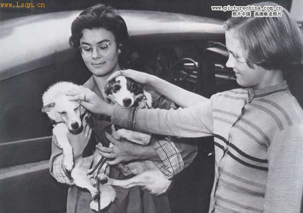 ������ʮ��������ڰ���