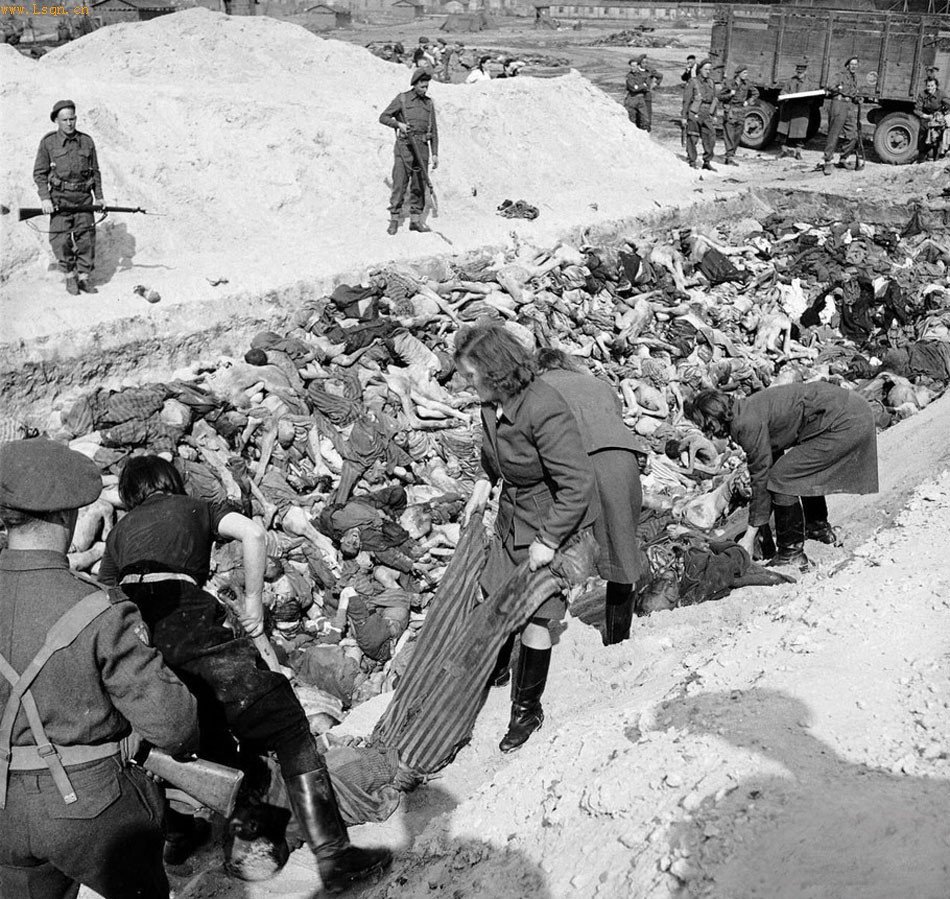解放集中营纳粹被迫运尸