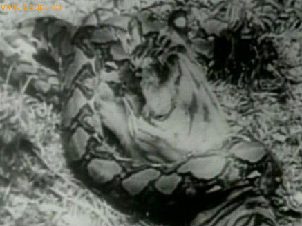 �����������ɱ˲����