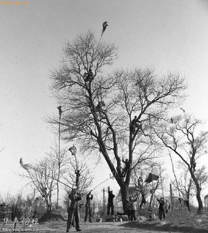 50���ȫ����ĺ�����Ƭ