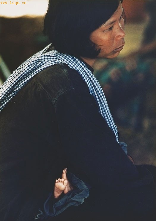 1976-2011����������