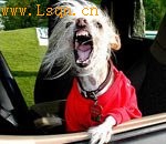 ʮ��������ֵĹ�