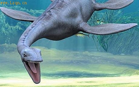 古生物学家在蛇颈龙化石上发现鲨鱼牙齿(图)