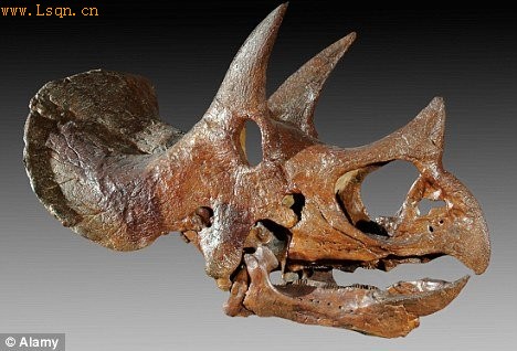 末世恐龙化石证实小行星碰撞是恐龙终极杀手