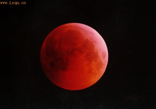 ����鿴��һ��