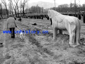 柳林村只剩一匹石马。本报记者 徐胤 摄