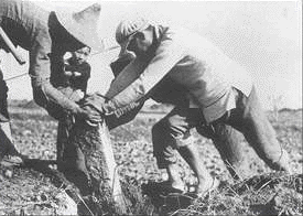 山东省沂南县依汶区农民在土改时拔掉地主立的界碑