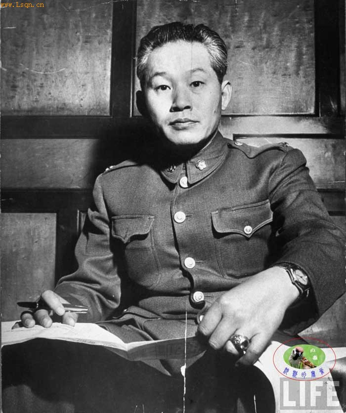 ����49��������̨������