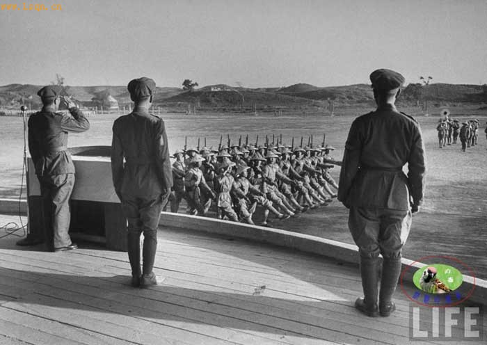 ����49��������̨������