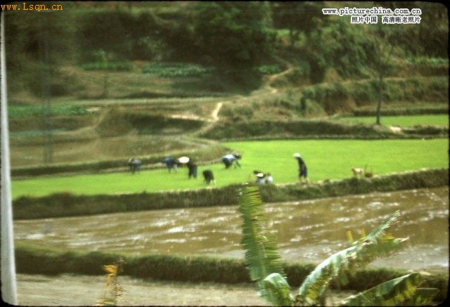 ��������72���ĸ�����