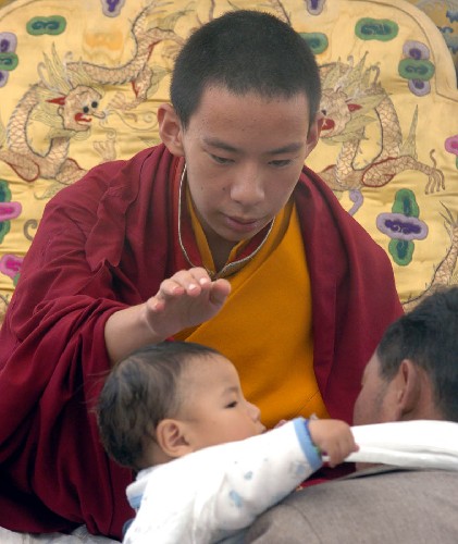 ʮһ������Ϊ����Ž�Ⱥ�������͸� �»�����Ƭ �տ���