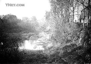 河北望都白城村洼地遗址