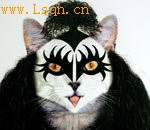 ����ҡ����������