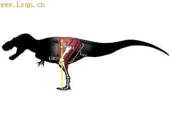 ��ѧ���о��ƿ�����������Ѫ����