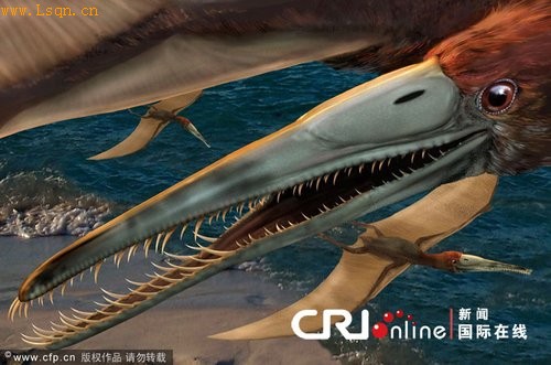 ��ɵĿ�����ʯ���� 9500����ǰͳ�����(ͼ)