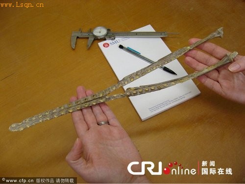 ��ɵĿ�����ʯ���� 9500����ǰͳ�����(ͼ)