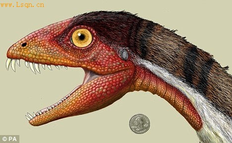 美国科学家发现暴牙龙双腿直立行走组图