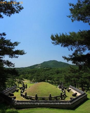 ����40������ɹ����� ����̷�ˮ��ͳΪ����(ͼ)