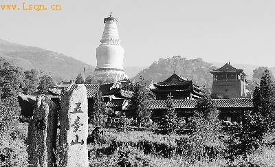 �й�����������:��̨ɽ���չ��� ��ɽ�ݻ�